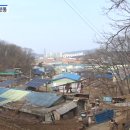 법무법인인본 이미지