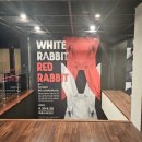 [연극] 화이트래빗 레드래빗 : 하도권 배우님, OP석 2열 스포없는 후기 (세종문화회관 S씨어터)