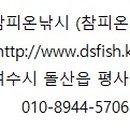 참피온낚시 이미지