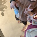 대구 24시간 찜질방 엘리바덴 신월성 운영시간 가격 할인 상세 후기