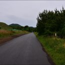 한라산둘레길 천아숲길 이미지