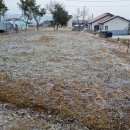 진산농장2 이미지