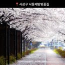 낙동제방길-1 이미지