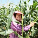 규남농장 이미지