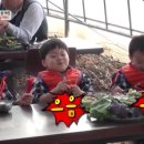 만세농장 이미지