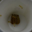 익산고등학교 이미지