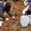 우진송죽마을 이미지