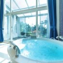 미씨엘로 이미지