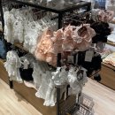 펫 파라다이스(pet paradise) 이미지