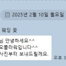 바치오플라워