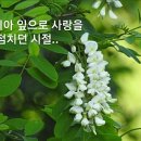 여기,초록 이미지