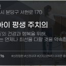 판교종합 동물병원 이미지