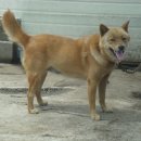 정돈농장2 이미지