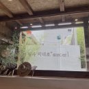 더밥 이미지