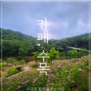 그늘막61 이미지