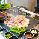 금돈흑돼지 이미지