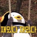 설공