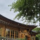 조선스칼프 | 아로마티카 북촌 쇼핑페스타 다녀왔어요! 71% 할인 본품 증정 꿀팁