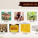 진도식품 이미지