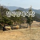 돌목장 이미지