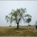 번개금속(주)