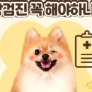 키다리아저씨 동물병원 이미지