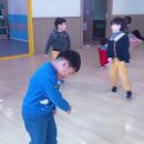타이곤체육관 Daum카페