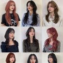 메르시모몽 이미지