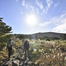 한라산PC 이미지