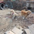 완인농장 이미지