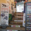 우수렙타일 | (일상) 일산 우수렙타일 파충류샵 방문후기 '♪'