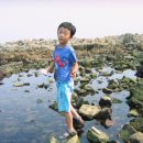 서형수산 이미지