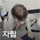 프리미엄 태권마루 태권도장 | 태권도장에서의 특별한 일상, 새솔동7세태권도의 매력!