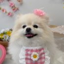 멍앤미 이미지