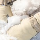 예산장갑 이미지