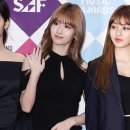 모모손