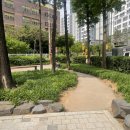 신풍근린공원 이미지