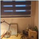 리브가 스테이 이미지