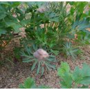 동강의원 이미지