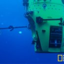 딥씨(Deepsea) 이미지