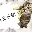 파리바게뜨 미사중앙점