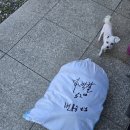 무실옥수수