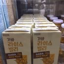 세이비건 이미지