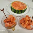 반월로 Daum카페