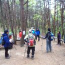 송일농장 이미지