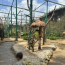 코끼리게임장 이미지