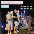 송호펜션민박 | 전남 여수 한우드림 동물체험장/피읖카페/다온 민박 펜션/돌산 정담 게장정식/여수해상케이블카/돌산...