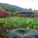 진주 용호정원 이미지