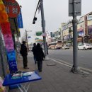 파이안 이미지
