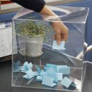 뽑기통2 이미지